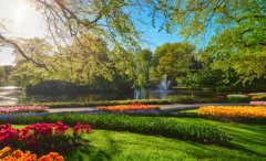 通过“根本功能买单、增值办事市场运做”的投