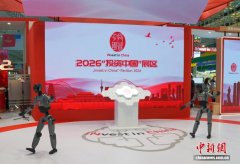 该公司副总裁陈洪波介